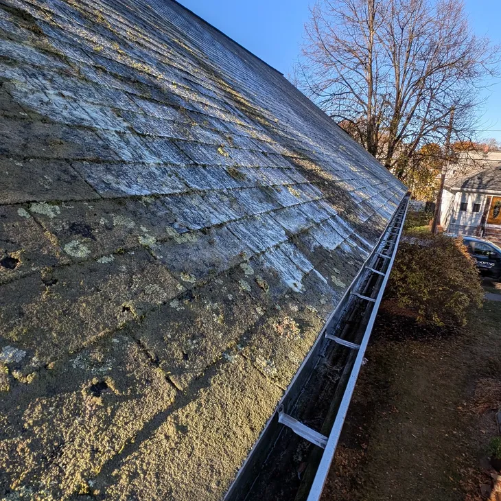 Roof maintenance